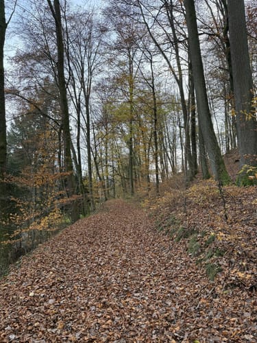 Rundwanderweg Lindenfels 6: Erlebniswanderweg Lindenfels