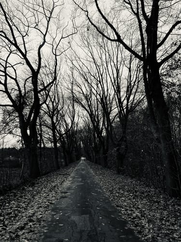 Naturschutzgebiet Melmmoor/Kuhdammoor ab Esterwegen