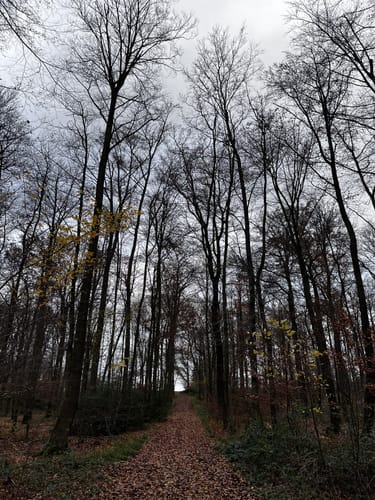Häger Rundwanderweg 1