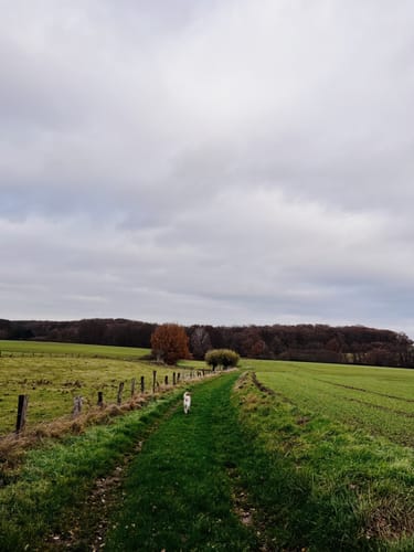 Häger Rundwanderweg 1