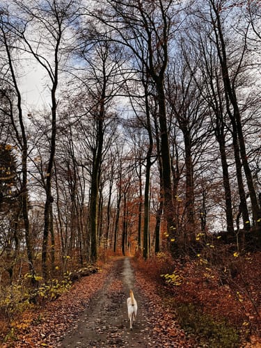 Häger Rundwanderweg 1