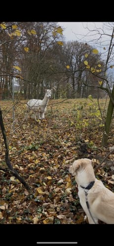 Häger Rundwanderweg 1