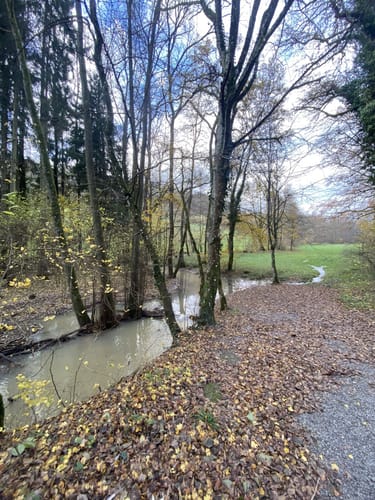 Rundwanderweg Henschelberg 1: Henschelberg-Weg