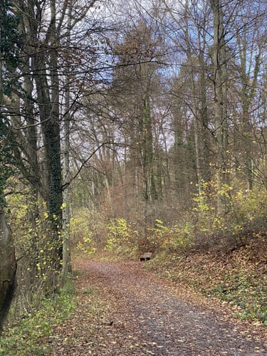 Rundwanderweg Henschelberg 1: Henschelberg-Weg