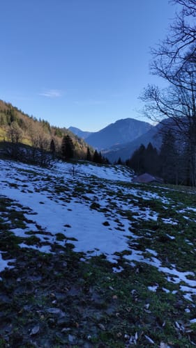 Nesslauer Alm