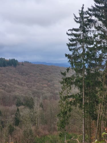 Hengstbach und Himmberg