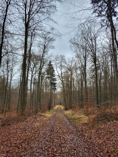 Hengstbach und Himmberg