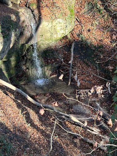 Buocher Höhe - Grunbacher Wasserfall