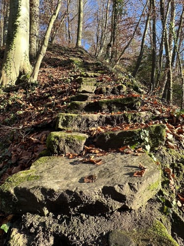 Buocher Höhe - Grunbacher Wasserfall