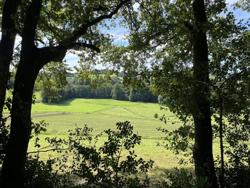 Elfringhauser Schweiz