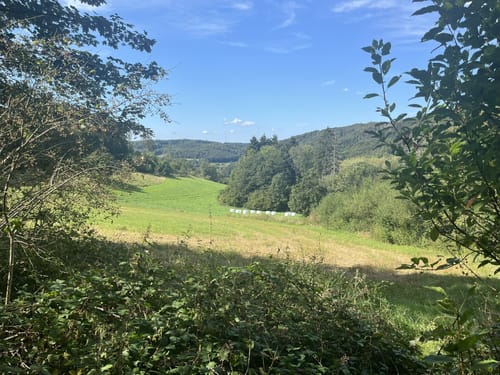 Elfringhauser Schweiz