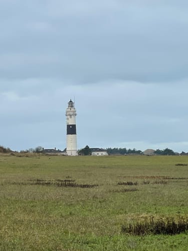 Braderuper Heide