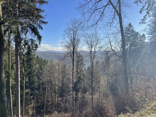 Trifterlebnispfad Legelbach über Nibelungenhaus
