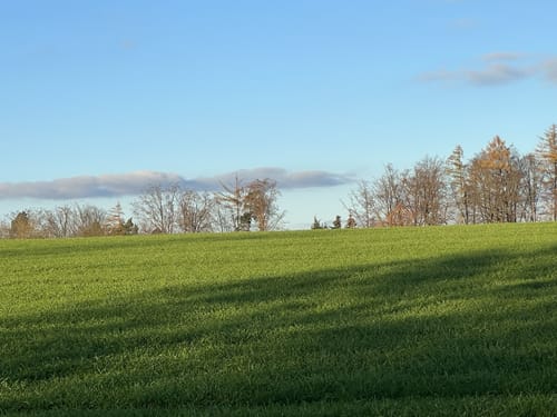 Boucher Höhe - Großer Rossberg - Buoch