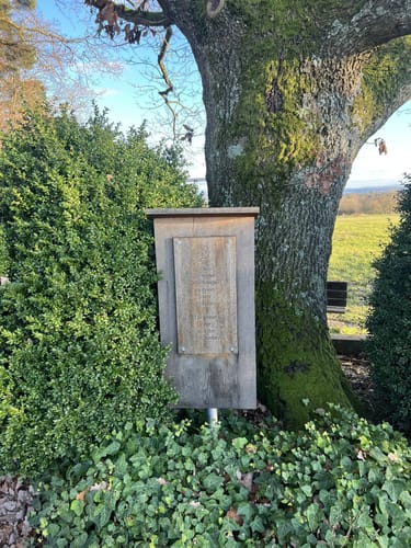 Boucher Höhe - Großer Rossberg - Buoch