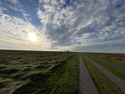 Salzwiesen, soweit das Auge reicht (WWF Tour Hamburger Hallig)