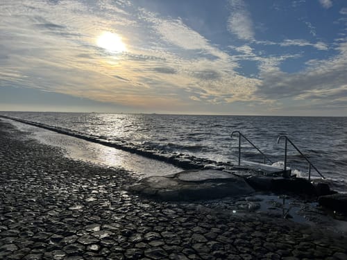 Salzwiesen, soweit das Auge reicht (WWF Tour Hamburger Hallig)