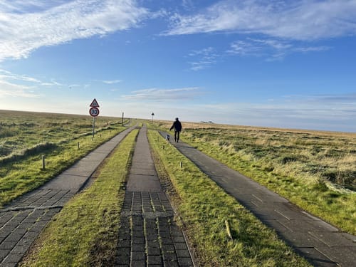Salzwiesen, soweit das Auge reicht (WWF Tour Hamburger Hallig)