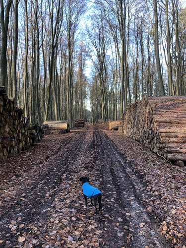 Taubenberg Rundweg