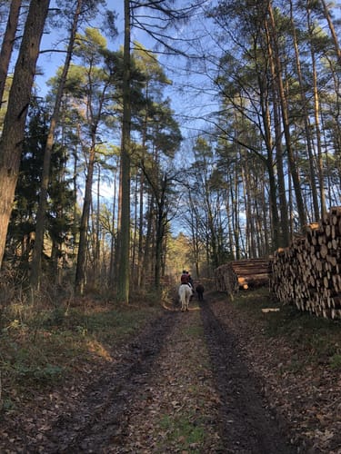 Taubenberg Rundweg