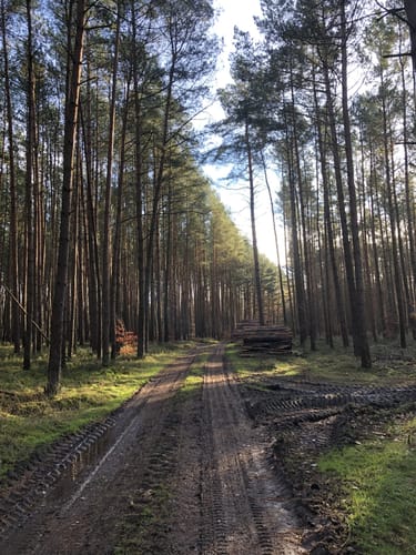 Taubenberg Rundweg