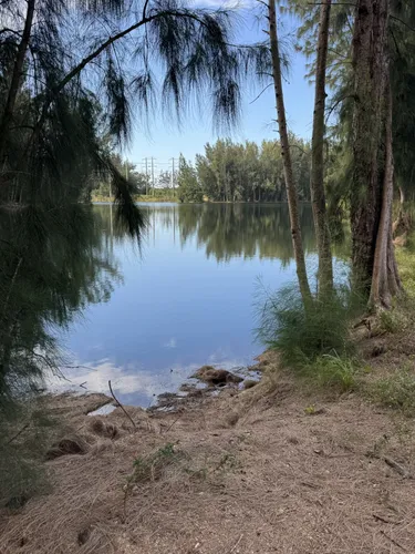 Wolf Lake Park Fl