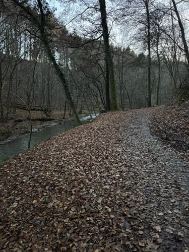 Walkingrunde Balken - Diepental über Pattscheid