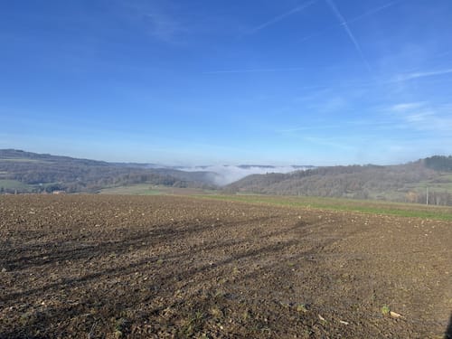 Rund um Burg Lichtenberg