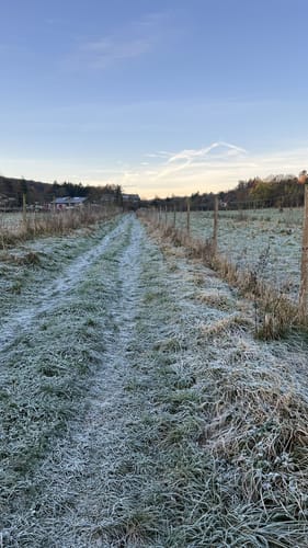 EifelSchleife Hahnenberg