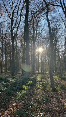 EifelSchleife Hahnenberg