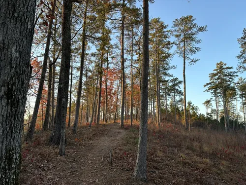Pinhoti Trail: Coleman Lake to Sweetwater Lake, Alabama 110