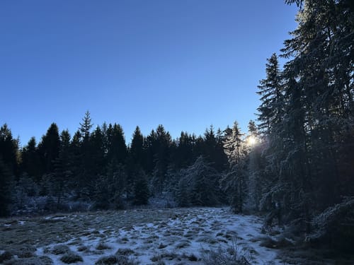 Zauberwald-Pfad - Bernau im Schwarzwald