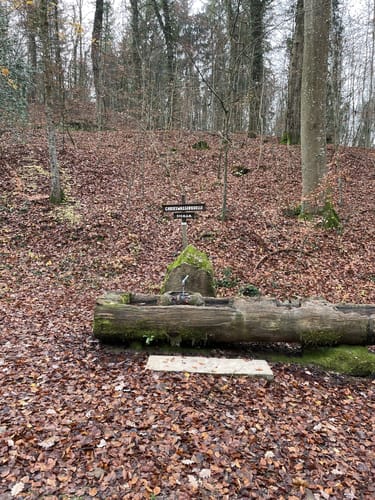 Müllheim - Eichwald - Vögisheim
