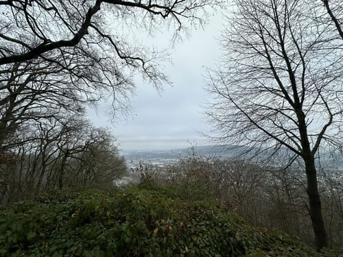 Zum Hasenberg