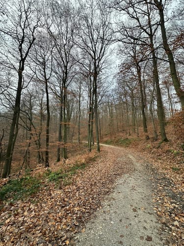Zum Hasenberg