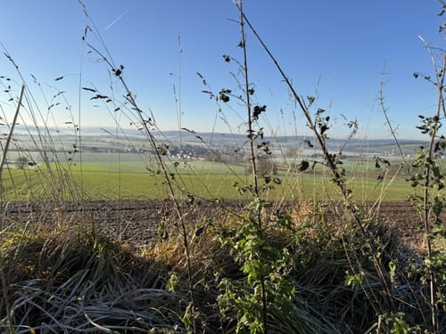 Durch den Wald bei Vahle