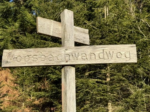 Nordrach Wanderung ab dem Moosbächlein