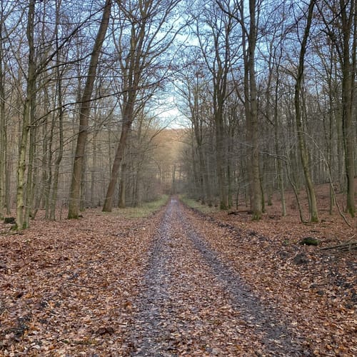 Hagebuttenrunde