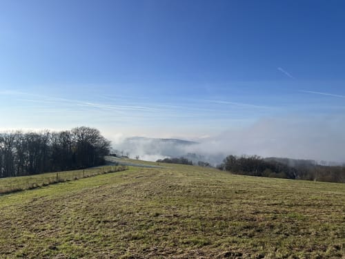 Premiumwanderpfad: Bergschluchtenpfad Ehrenburg