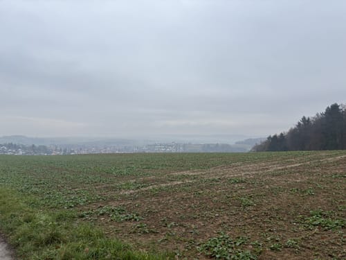 Rundwanderweg Groß-Bieberau Heidekopf 5: Tal-Weg