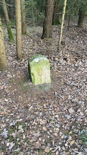 Rund um den Stausee Hohenfelden