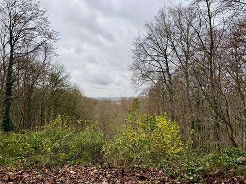Aaper Wald A2