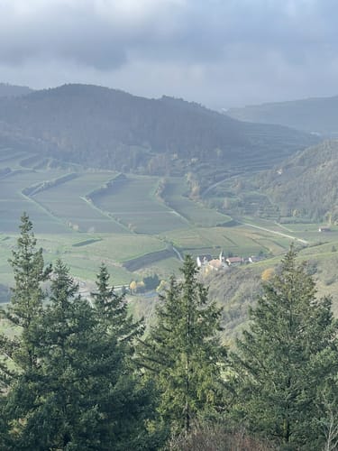 Altvogtsburg Rundweg