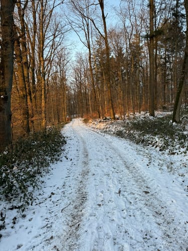 Mühlenbach-Schluchten-Tour (Traumschleife)