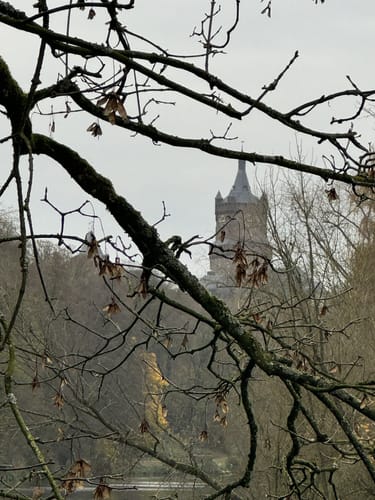 Rundwanderung durch den Moritz van Nassau Park