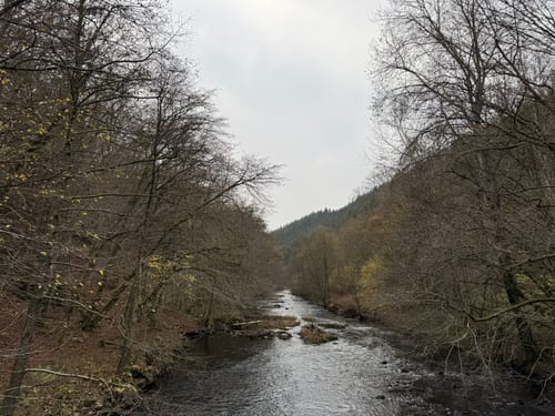 Monschau-Rurtal-Rundweg 35