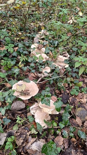 Rund um die Tongrube Kolbermoor