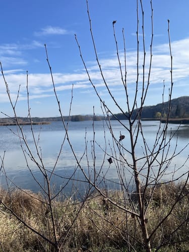 Rund um den Seehamer See