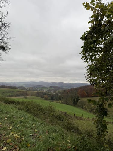 Oberer Mühlweg und Teufelslochweg