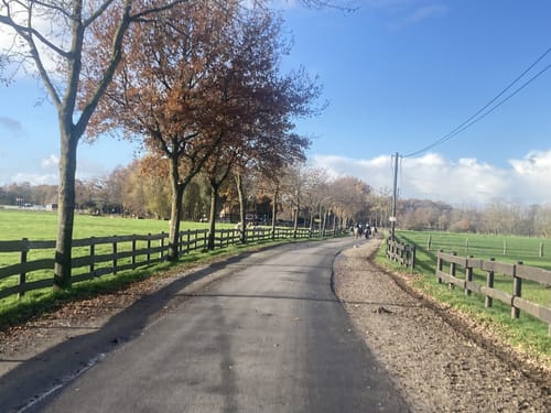 Wanderweg W14: Lathen - Oberlangen - Niederlangen